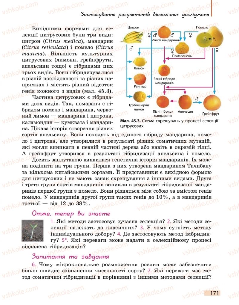 Страница 171 | Підручник Біологія 11 клас К.М. Задорожний 2019