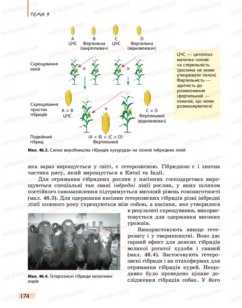 Страница 174 | Підручник Біологія 11 клас К.М. Задорожний 2019