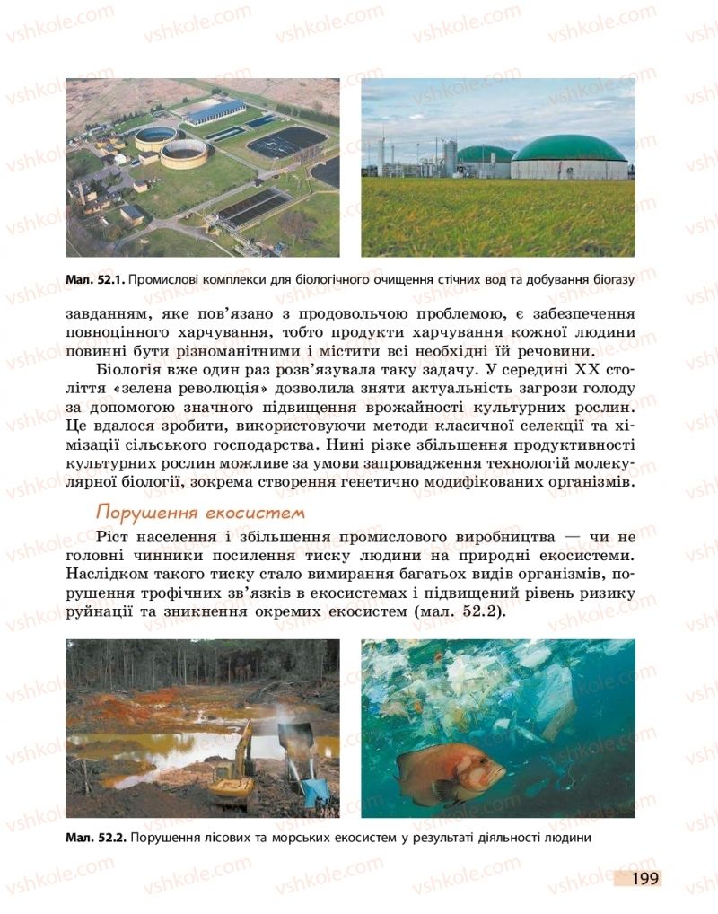 Страница 199 | Підручник Біологія 11 клас К.М. Задорожний 2019