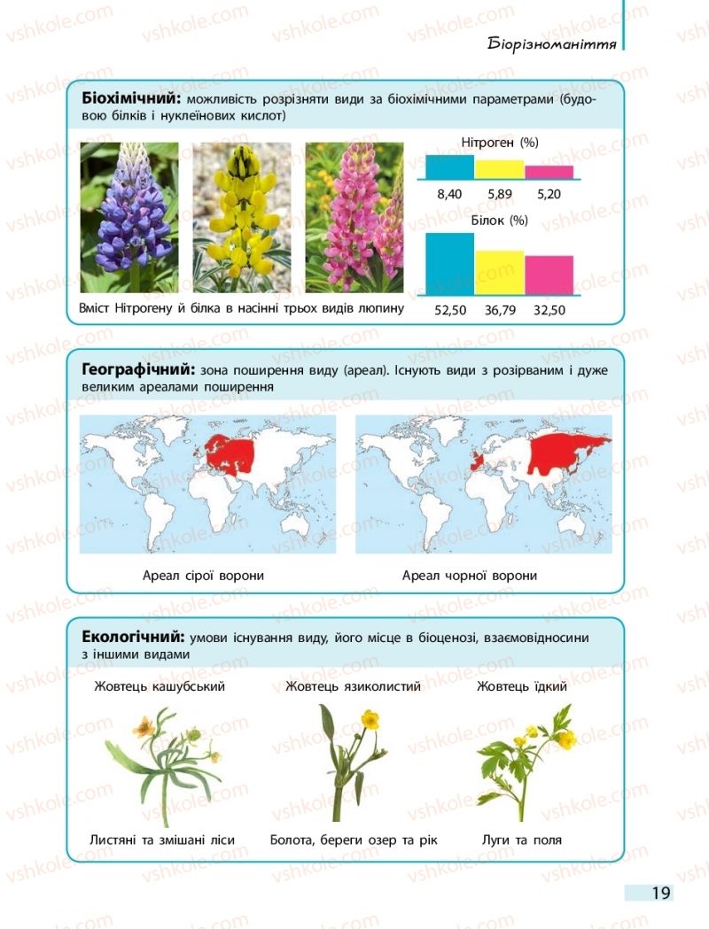 Страница 19 | Підручник Біологія 10 клас К.М. Задорожний 2018
