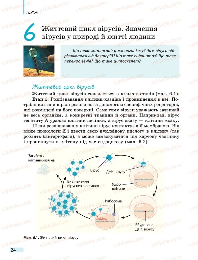 Страница 24 | Підручник Біологія 10 клас К.М. Задорожний 2018