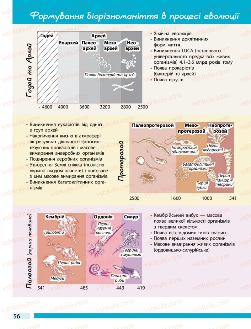 Страница 56 | Підручник Біологія 10 клас К.М. Задорожний 2018