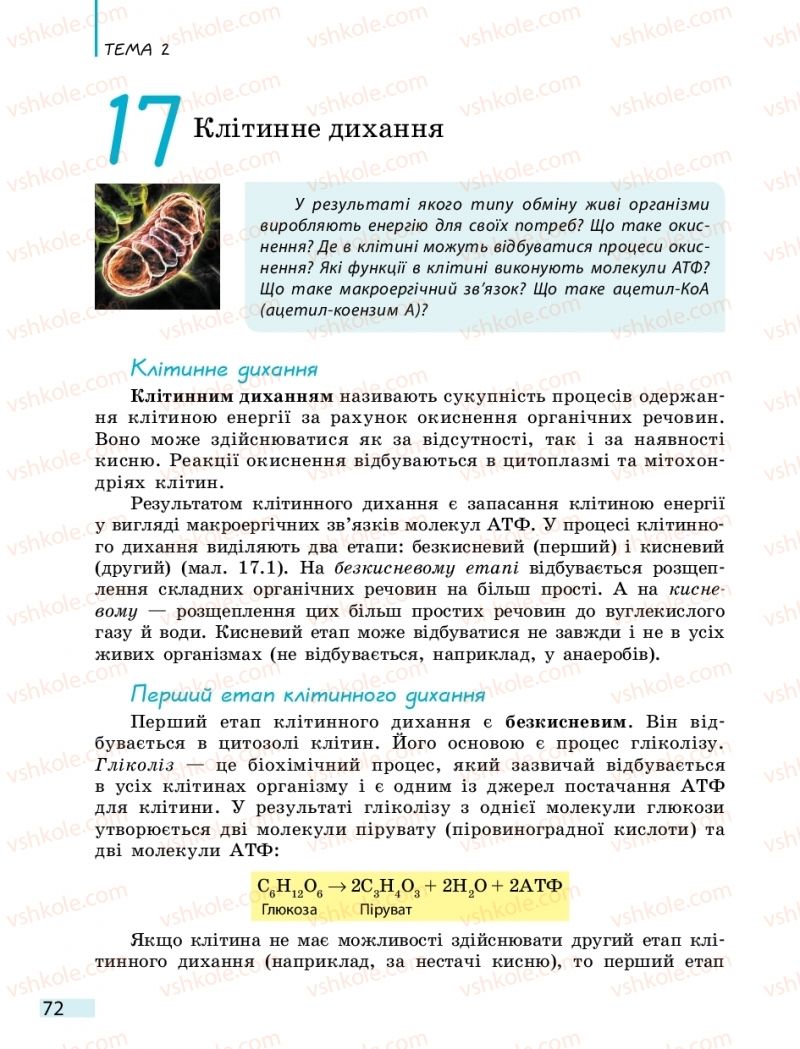 Страница 72 | Підручник Біологія 10 клас К.М. Задорожний 2018