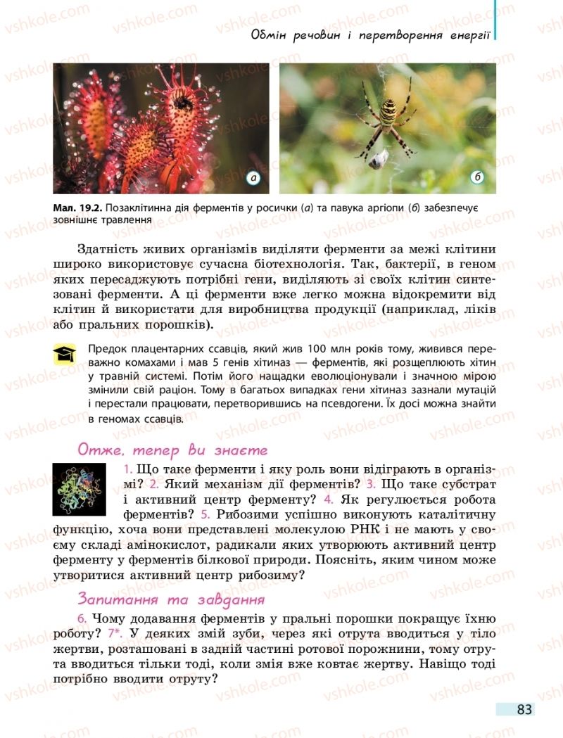 Страница 83 | Підручник Біологія 10 клас К.М. Задорожний 2018