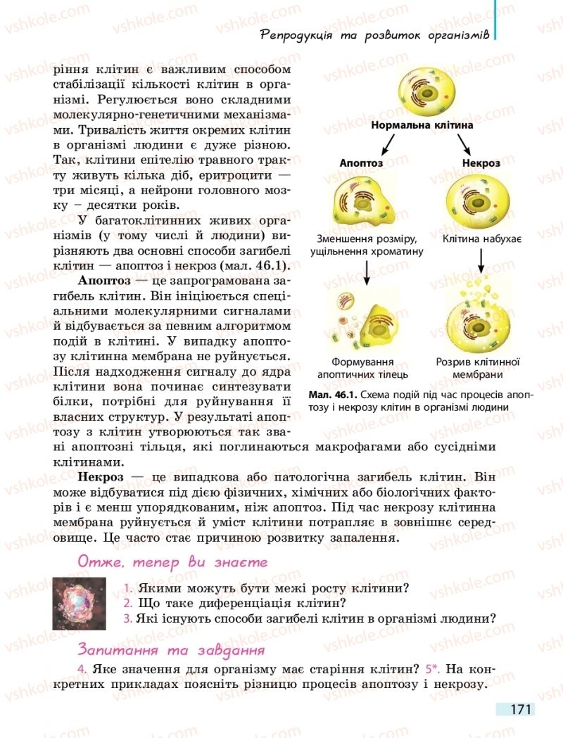 Страница 171 | Підручник Біологія 10 клас К.М. Задорожний 2018