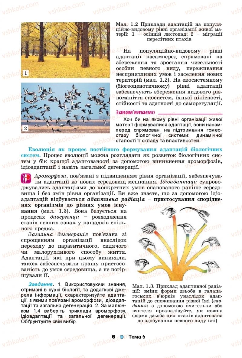 Страница 6 | Підручник Біологія 11 клас Л.І. Остапченко, П.Г. Балан, Т.А. Компанець, С.Р. Рушковський 2019