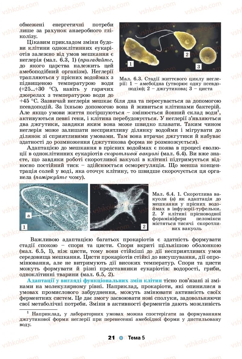Страница 21 | Підручник Біологія 11 клас Л.І. Остапченко, П.Г. Балан, Т.А. Компанець, С.Р. Рушковський 2019