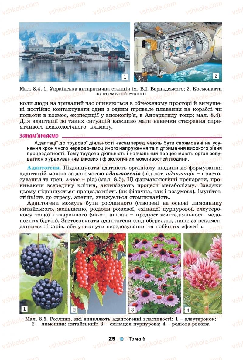 Страница 29 | Підручник Біологія 11 клас Л.І. Остапченко, П.Г. Балан, Т.А. Компанець, С.Р. Рушковський 2019