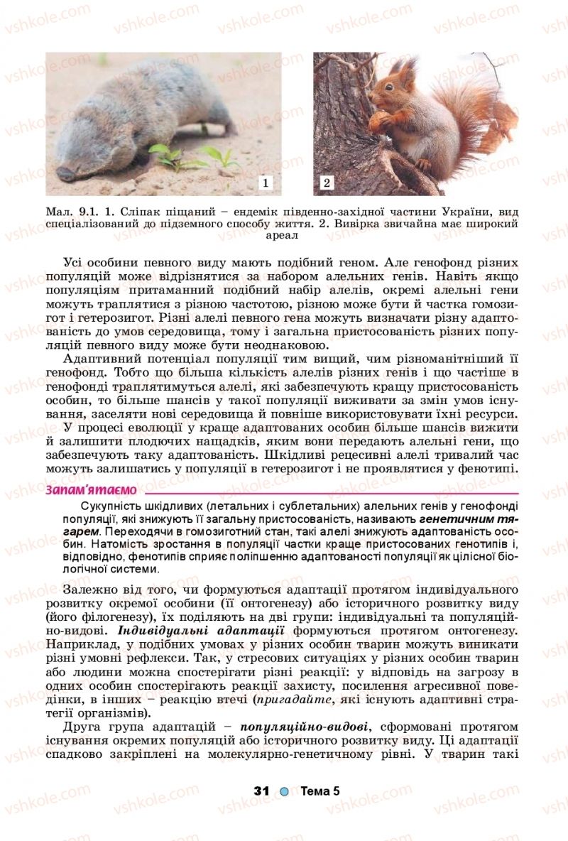 Страница 31 | Підручник Біологія 11 клас Л.І. Остапченко, П.Г. Балан, Т.А. Компанець, С.Р. Рушковський 2019