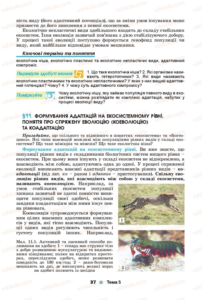 Страница 37 | Підручник Біологія 11 клас Л.І. Остапченко, П.Г. Балан, Т.А. Компанець, С.Р. Рушковський 2019