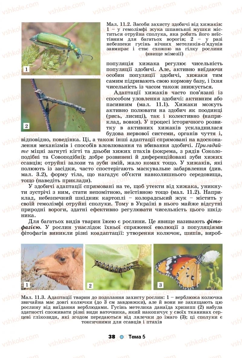 Страница 38 | Підручник Біологія 11 клас Л.І. Остапченко, П.Г. Балан, Т.А. Компанець, С.Р. Рушковський 2019