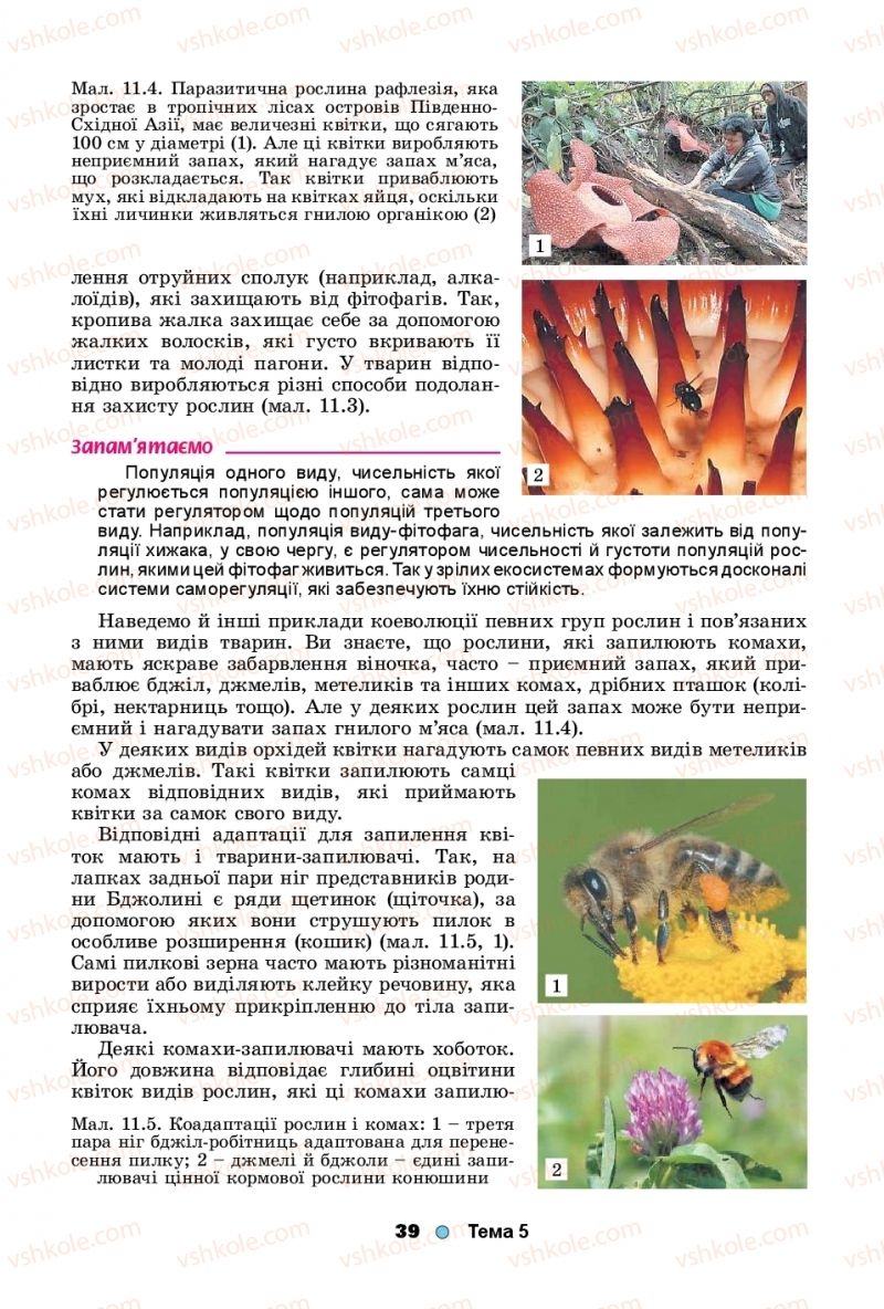 Страница 39 | Підручник Біологія 11 клас Л.І. Остапченко, П.Г. Балан, Т.А. Компанець, С.Р. Рушковський 2019