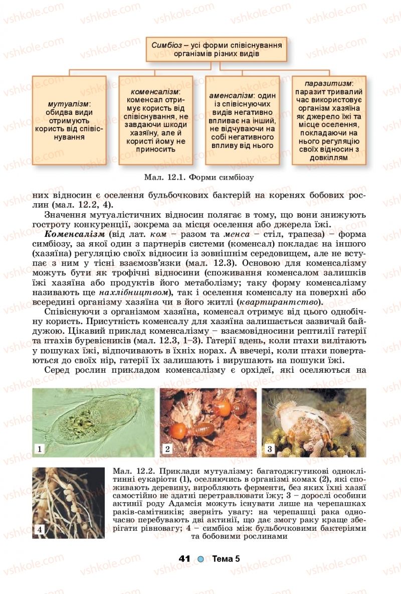 Страница 41 | Підручник Біологія 11 клас Л.І. Остапченко, П.Г. Балан, Т.А. Компанець, С.Р. Рушковський 2019