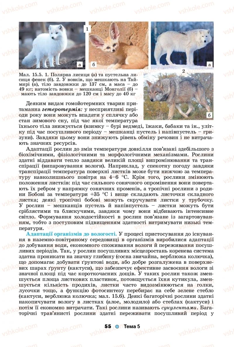 Страница 55 | Підручник Біологія 11 клас Л.І. Остапченко, П.Г. Балан, Т.А. Компанець, С.Р. Рушковський 2019