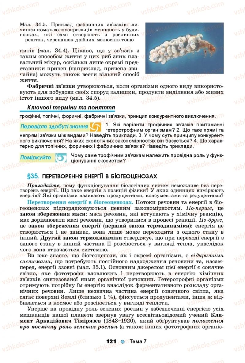 Страница 121 | Підручник Біологія 11 клас Л.І. Остапченко, П.Г. Балан, Т.А. Компанець, С.Р. Рушковський 2019