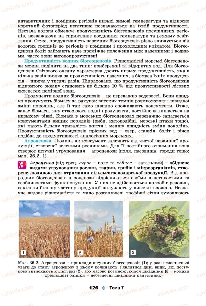 Страница 126 | Підручник Біологія 11 клас Л.І. Остапченко, П.Г. Балан, Т.А. Компанець, С.Р. Рушковський 2019