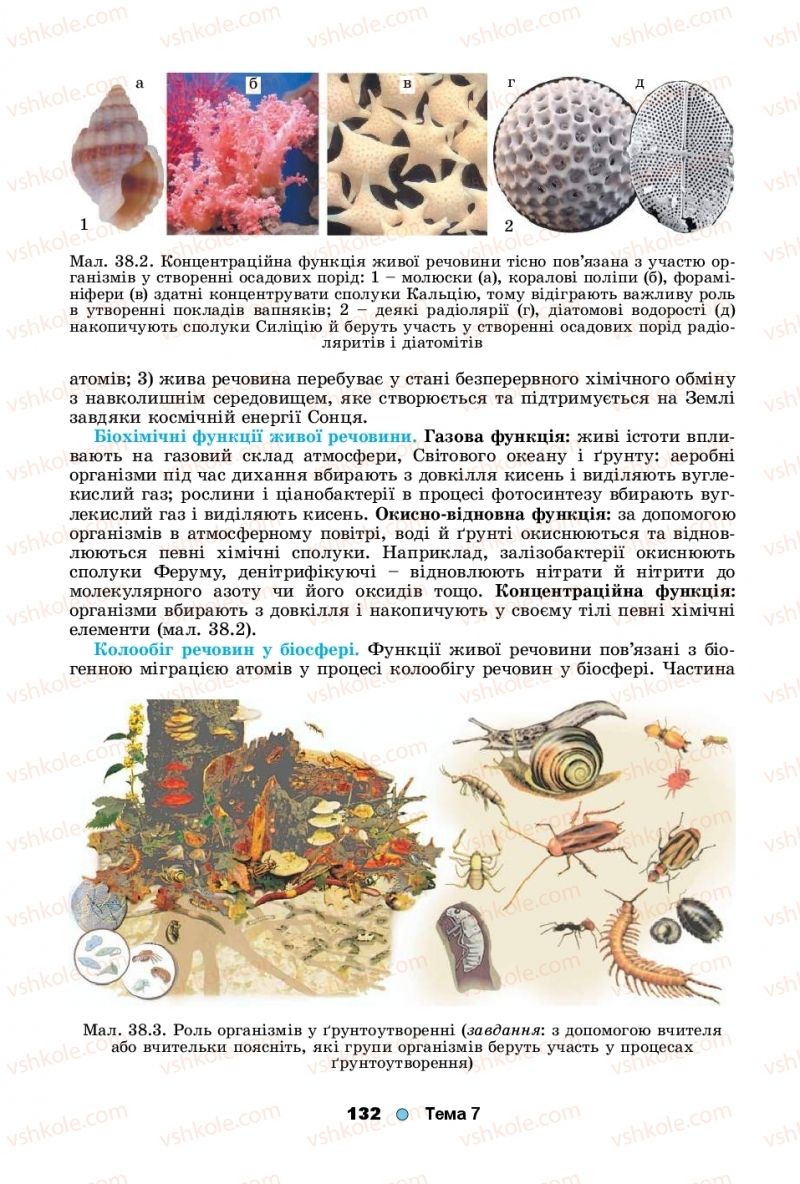 Страница 132 | Підручник Біологія 11 клас Л.І. Остапченко, П.Г. Балан, Т.А. Компанець, С.Р. Рушковський 2019