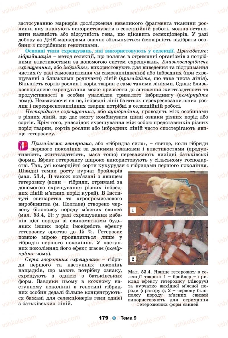 Страница 179 | Підручник Біологія 11 клас Л.І. Остапченко, П.Г. Балан, Т.А. Компанець, С.Р. Рушковський 2019