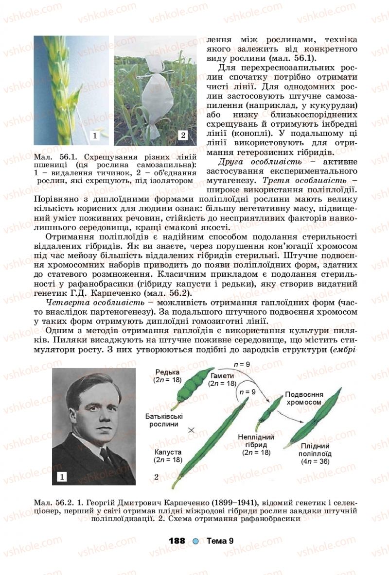 Страница 188 | Підручник Біологія 11 клас Л.І. Остапченко, П.Г. Балан, Т.А. Компанець, С.Р. Рушковський 2019