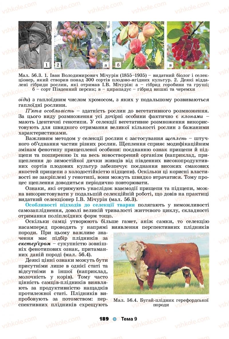 Страница 189 | Підручник Біологія 11 клас Л.І. Остапченко, П.Г. Балан, Т.А. Компанець, С.Р. Рушковський 2019