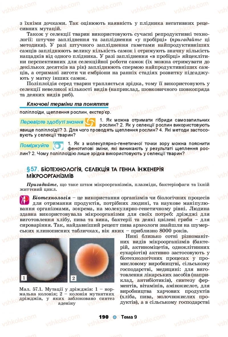 Страница 190 | Підручник Біологія 11 клас Л.І. Остапченко, П.Г. Балан, Т.А. Компанець, С.Р. Рушковський 2019