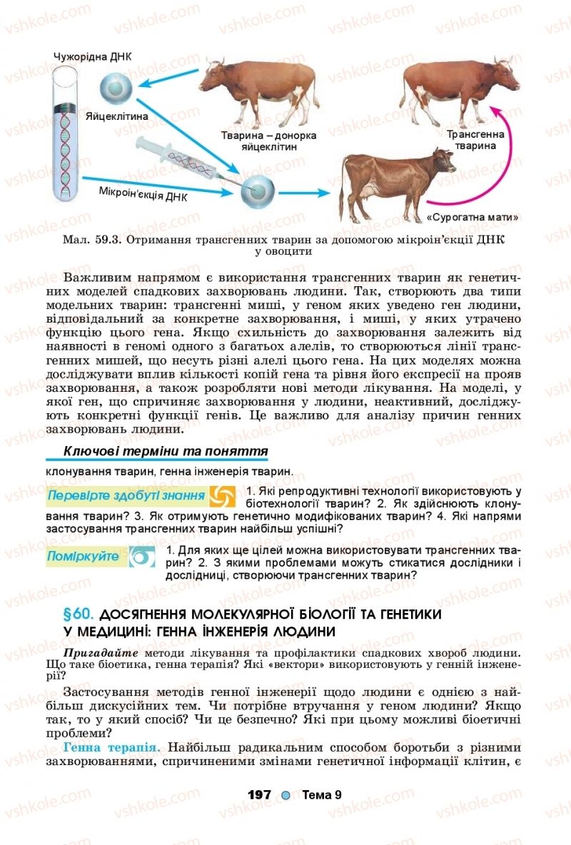 Страница 197 | Підручник Біологія 11 клас Л.І. Остапченко, П.Г. Балан, Т.А. Компанець, С.Р. Рушковський 2019