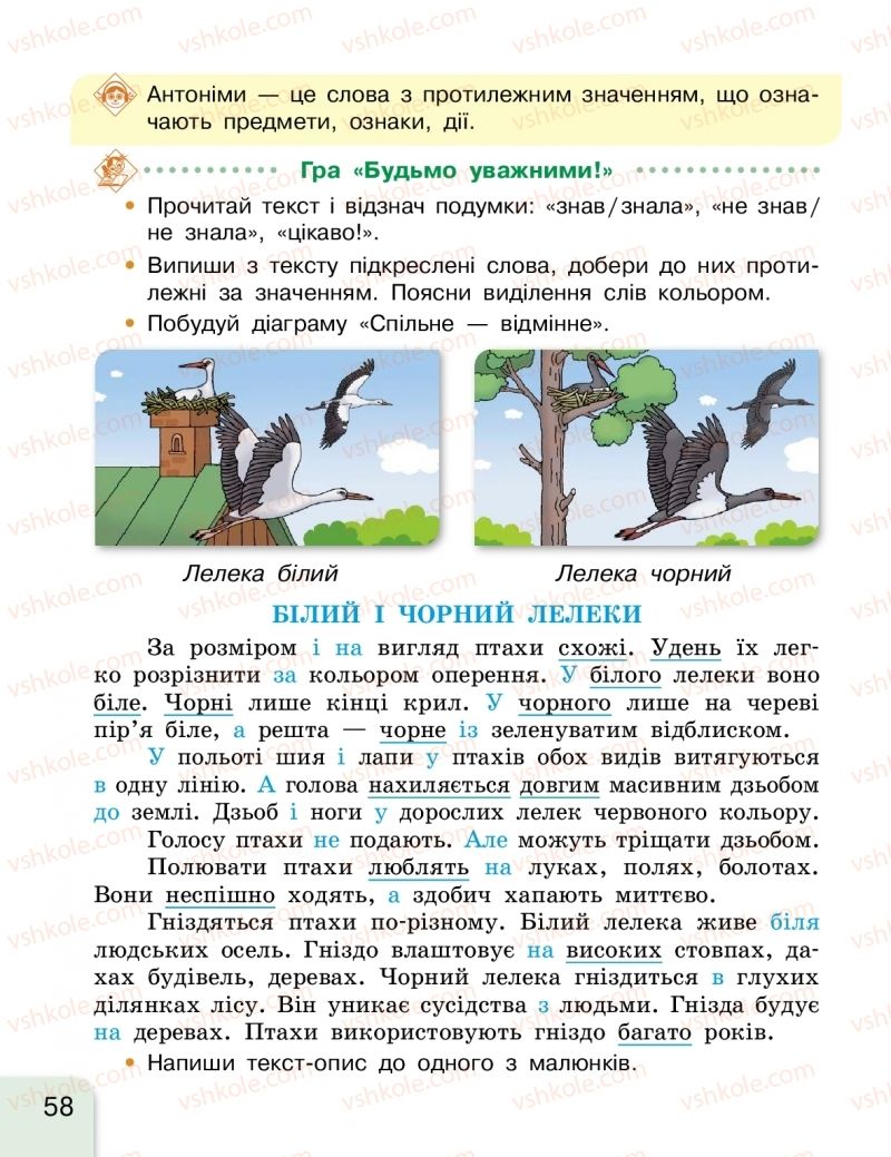 Страница 58 | Підручник Українська мова 2 клас Г.А. Іваниця 2019 1 частина