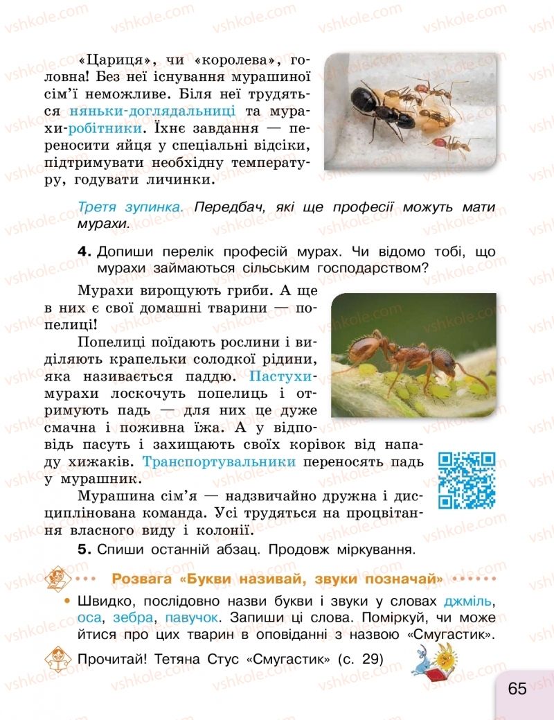 Страница 65 | Підручник Українська мова 2 клас Г.А. Іваниця 2019 1 частина