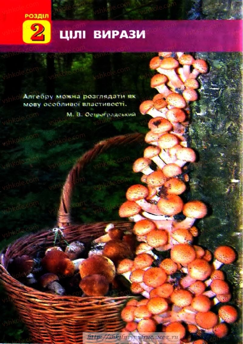 Страница 44 | Підручник Алгебра 7 клас Г.П. Бевз, В.Г. Бевз 2007