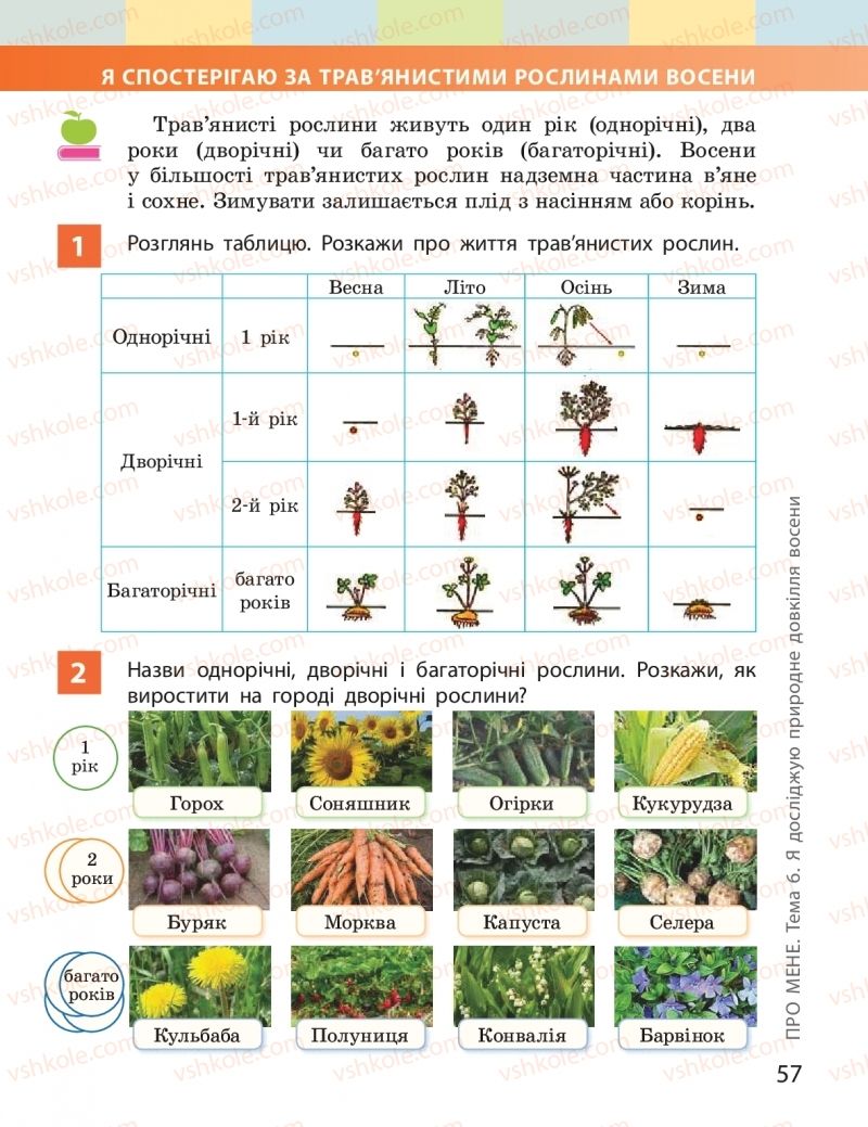 Страница 57 | Підручник Я досліджую світ 2 клас І.О. Большакова, М.С. Пристінська 2019 1 частина