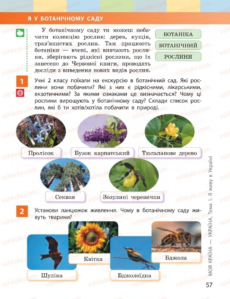 Страница 57 | Підручник Я досліджую світ 2 клас І.О. Большакова, М.С. Пристінська 2019 2 частина