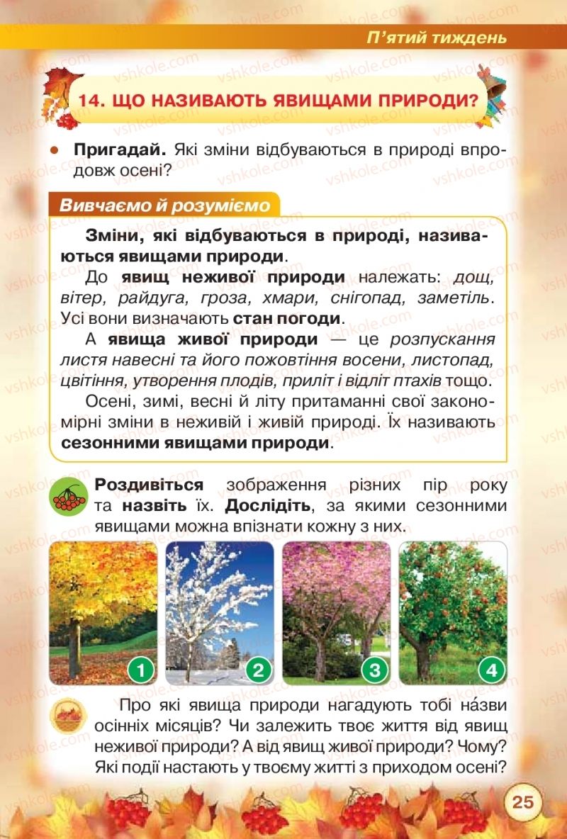 Страница 25 | Підручник Я досліджую світ 2 клас І.В. Грущинська, З.М. Хитра 2019 1 частина