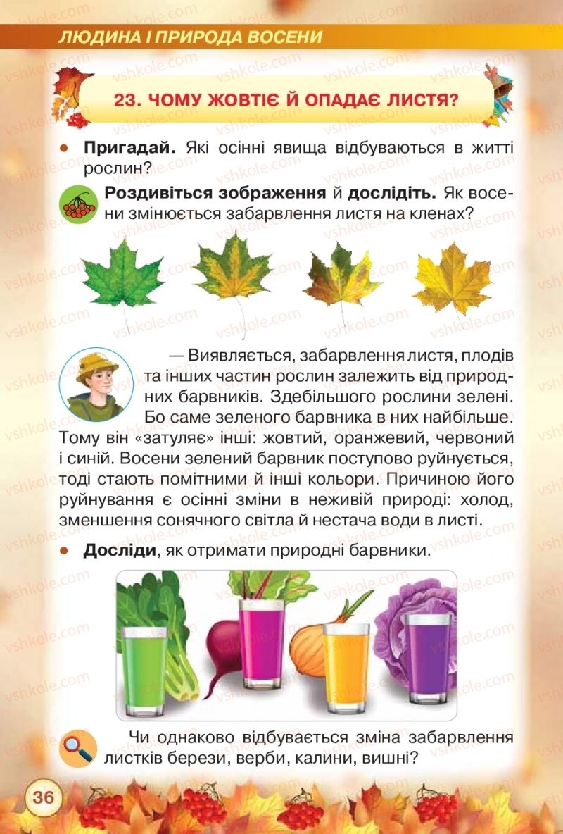 Страница 36 | Підручник Я досліджую світ 2 клас І.В. Грущинська, З.М. Хитра 2019 1 частина
