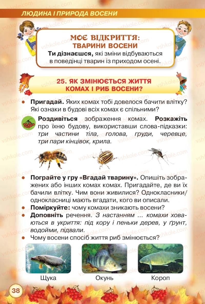Страница 38 | Підручник Я досліджую світ 2 клас І.В. Грущинська, З.М. Хитра 2019 1 частина