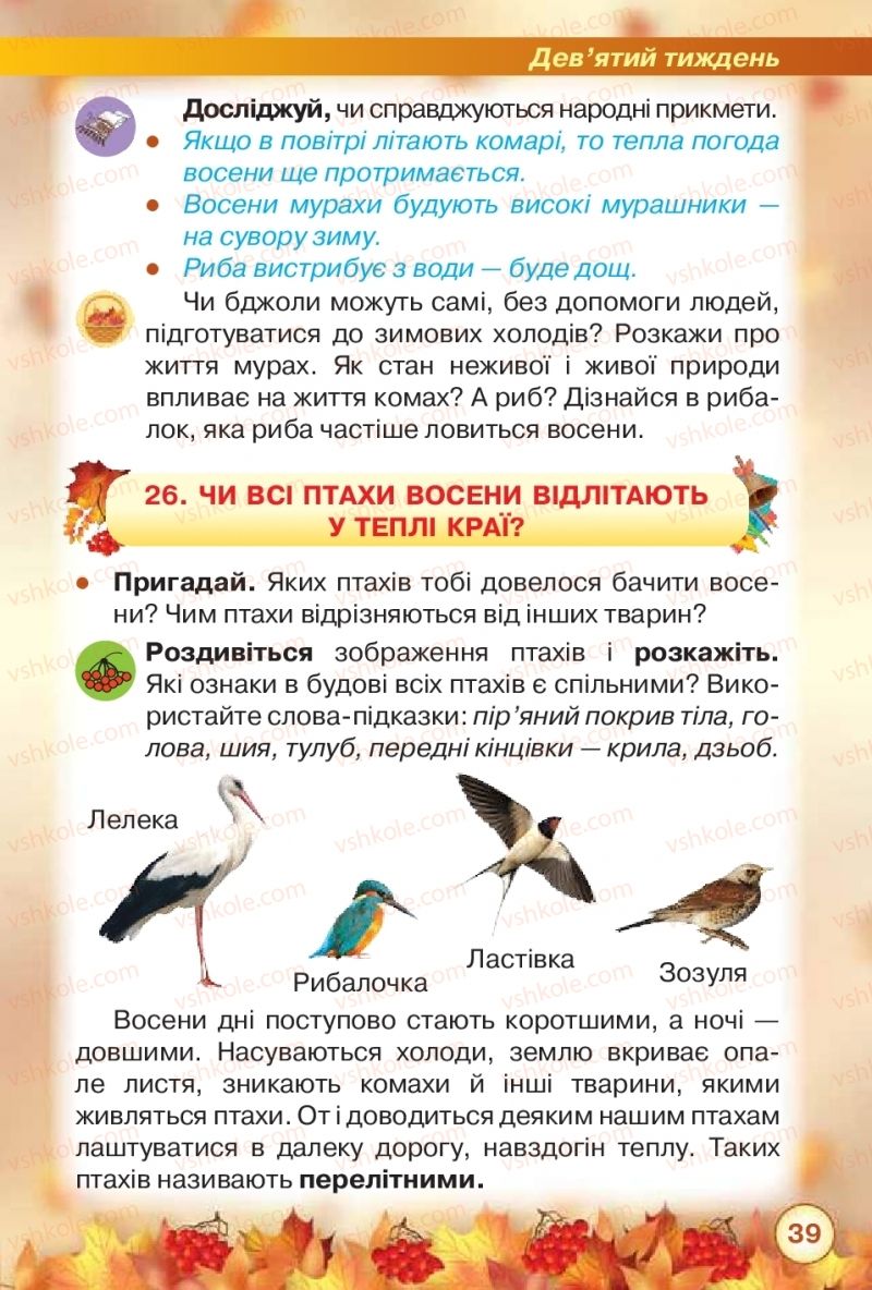 Страница 39 | Підручник Я досліджую світ 2 клас І.В. Грущинська, З.М. Хитра 2019 1 частина