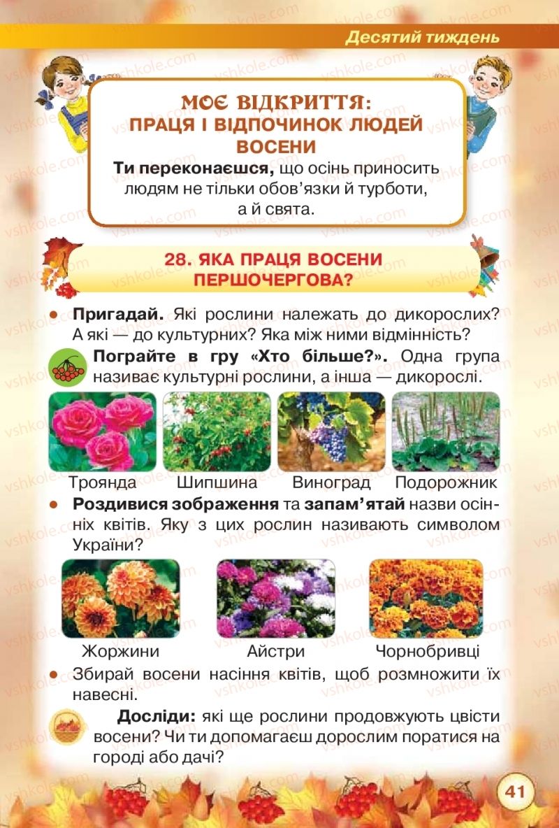 Страница 41 | Підручник Я досліджую світ 2 клас І.В. Грущинська, З.М. Хитра 2019 1 частина