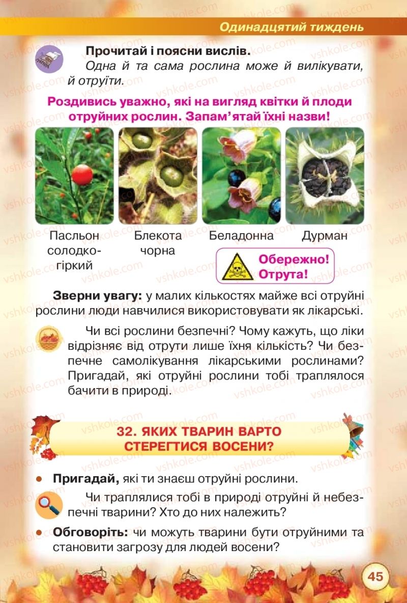 Страница 45 | Підручник Я досліджую світ 2 клас І.В. Грущинська, З.М. Хитра 2019 1 частина