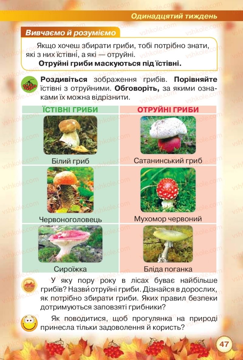Страница 47 | Підручник Я досліджую світ 2 клас І.В. Грущинська, З.М. Хитра 2019 1 частина