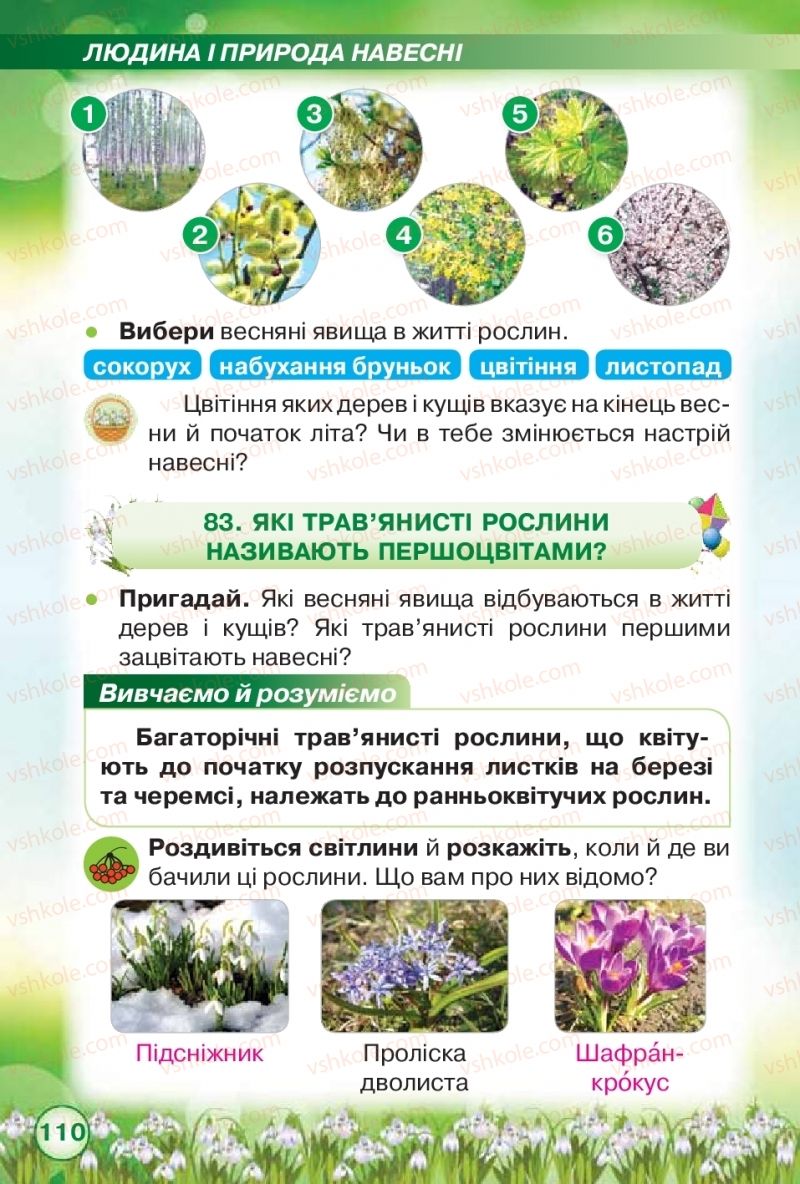 Страница 110 | Підручник Я досліджую світ 2 клас І.В. Грущинська, З.М. Хитра 2019 1 частина