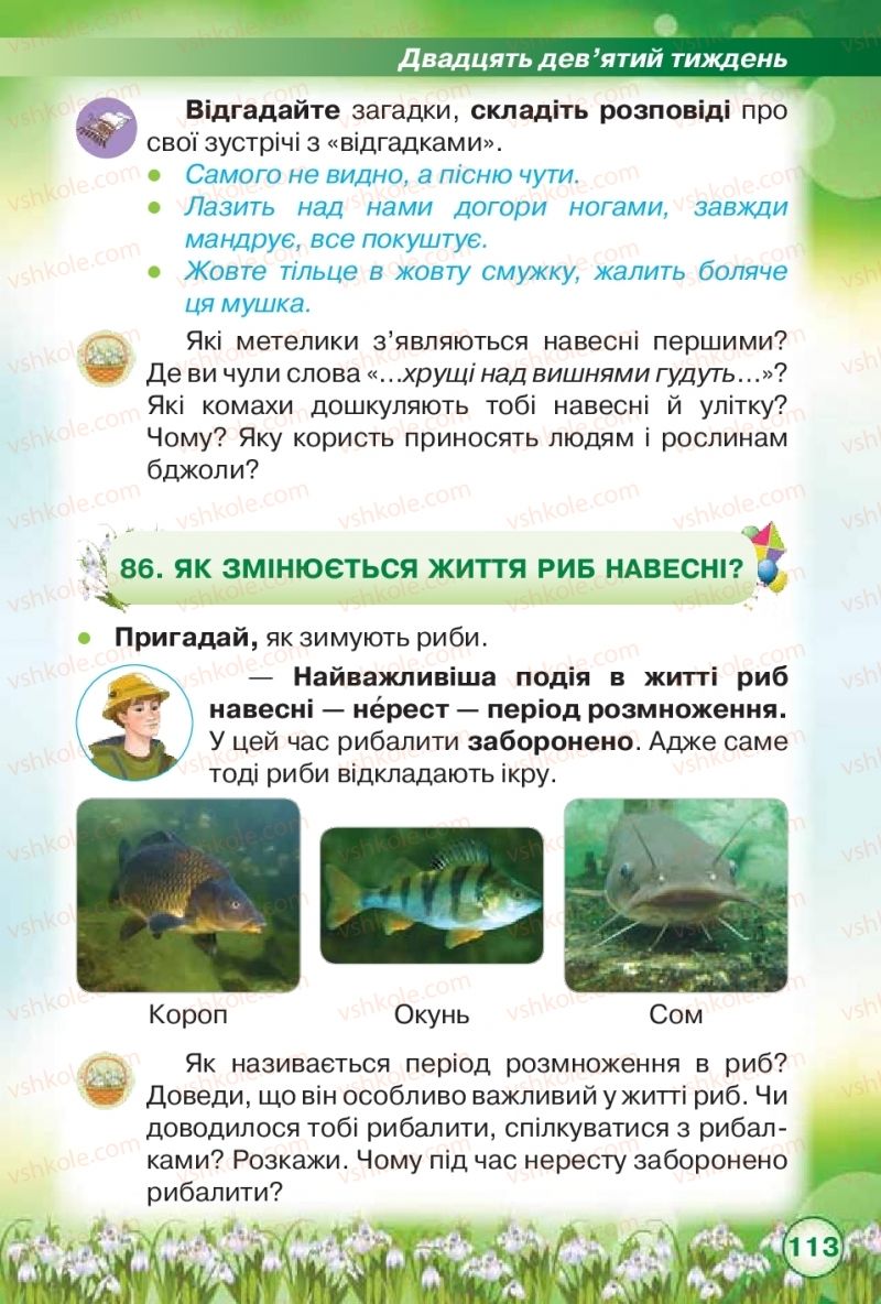 Страница 113 | Підручник Я досліджую світ 2 клас І.В. Грущинська, З.М. Хитра 2019 1 частина