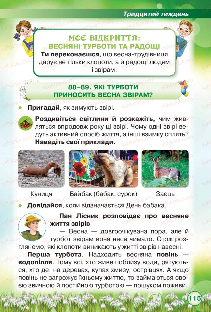 Страница 115 | Підручник Я досліджую світ 2 клас І.В. Грущинська, З.М. Хитра 2019 1 частина