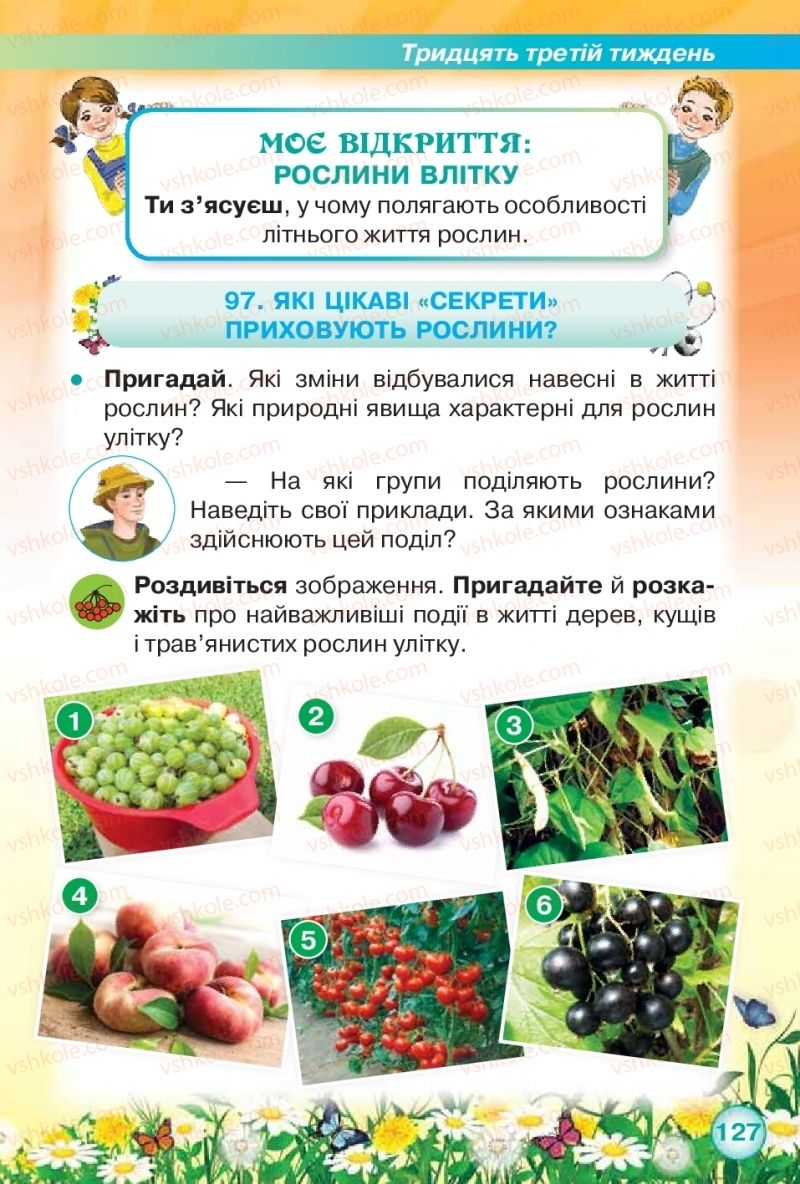 Страница 127 | Підручник Я досліджую світ 2 клас І.В. Грущинська, З.М. Хитра 2019 1 частина