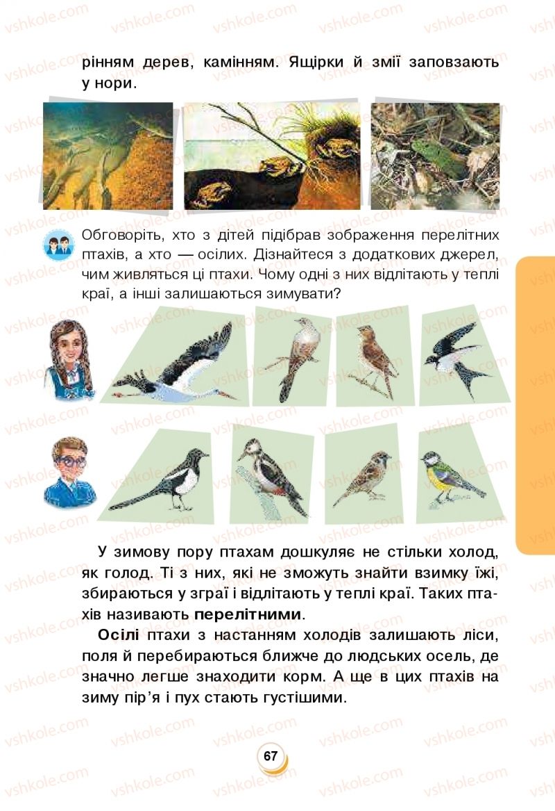 Страница 67 | Підручник Я досліджую світ 2 клас Н.О. Будна, Т.В. Гладюк, С.Г. Заброцька, Л.В. Лисобей, Н.Б. Шост 2019 1 частина