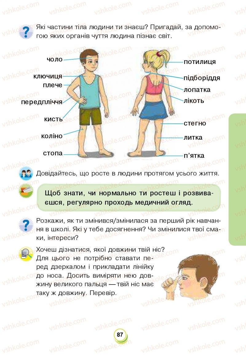 Страница 87 | Підручник Я досліджую світ 2 клас Н.О. Будна, Т.В. Гладюк, С.Г. Заброцька, Л.В. Лисобей, Н.Б. Шост 2019 1 частина