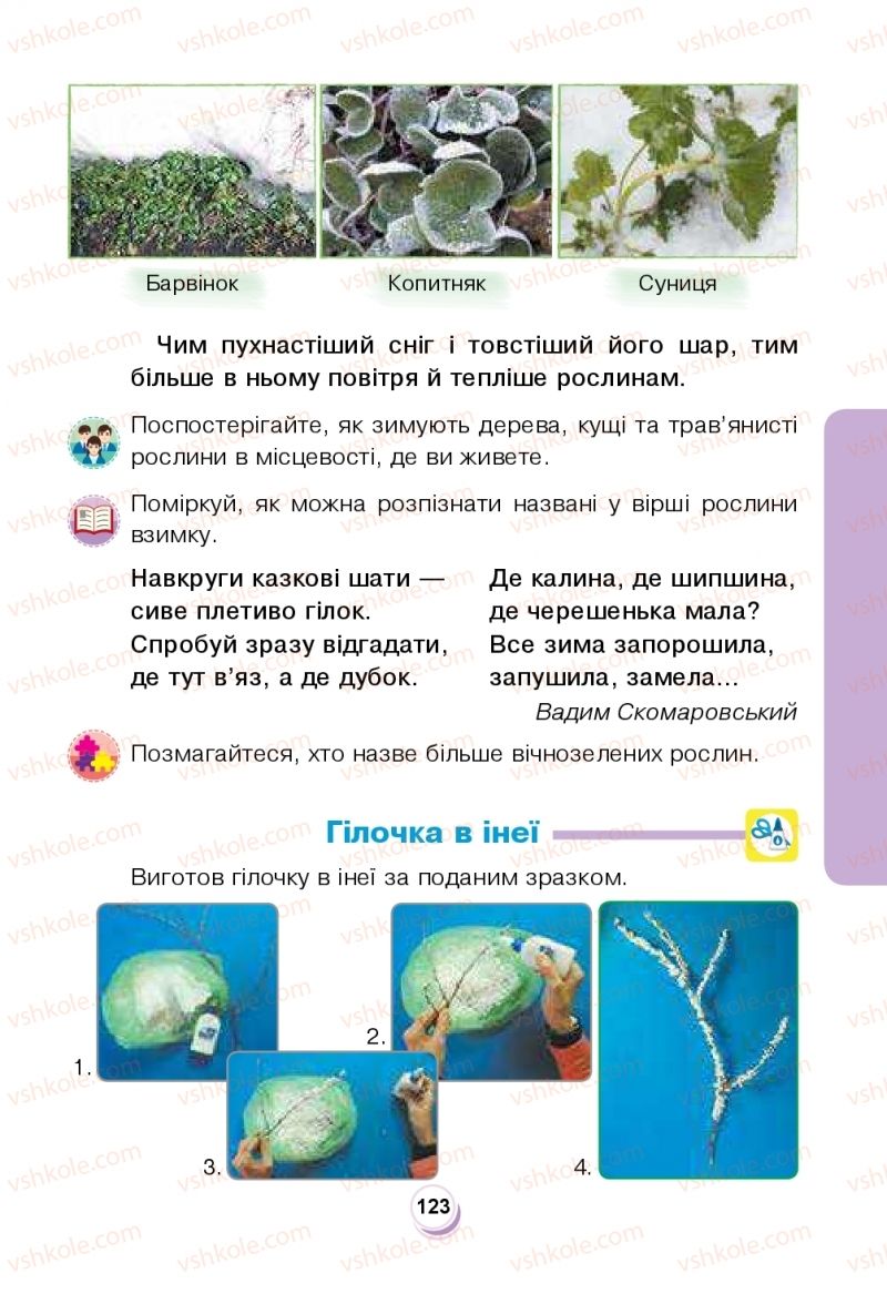 Страница 123 | Підручник Я досліджую світ 2 клас Н.О. Будна, Т.В. Гладюк, С.Г. Заброцька, Л.В. Лисобей, Н.Б. Шост 2019 1 частина