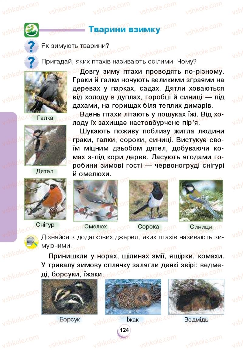 Страница 124 | Підручник Я досліджую світ 2 клас Н.О. Будна, Т.В. Гладюк, С.Г. Заброцька, Л.В. Лисобей, Н.Б. Шост 2019 1 частина