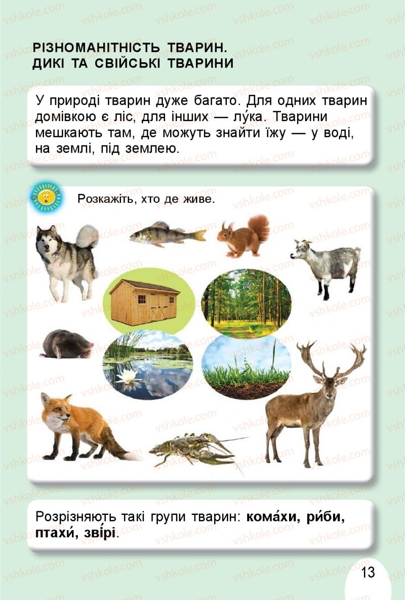 Страница 13 | Підручник Я досліджую світ 1 клас Т.Г. Гільберг, О.В. Гнатюк, Н.М. Павич 2018 2 частина
