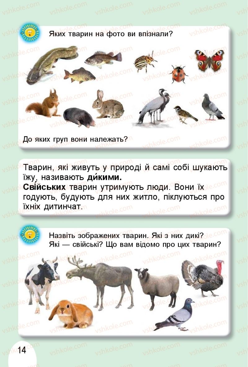 Страница 14 | Підручник Я досліджую світ 1 клас Т.Г. Гільберг, О.В. Гнатюк, Н.М. Павич 2018 2 частина