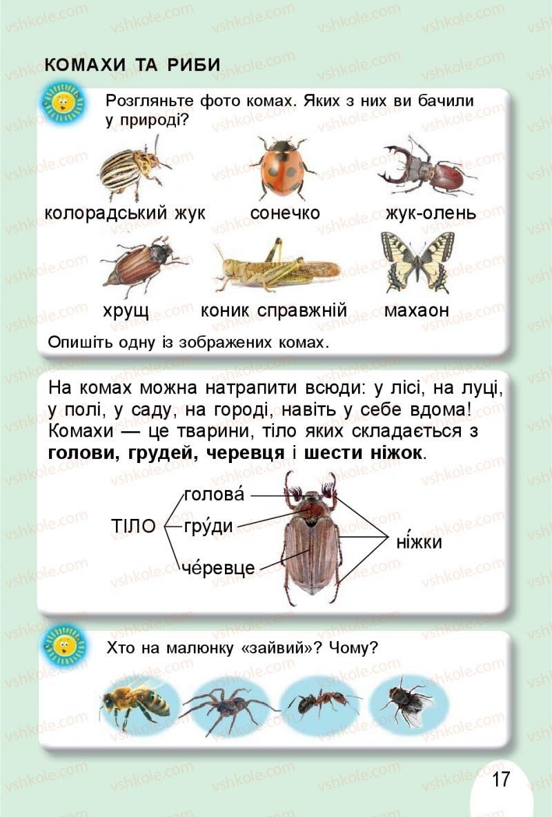 Страница 17 | Підручник Я досліджую світ 1 клас Т.Г. Гільберг, О.В. Гнатюк, Н.М. Павич 2018 2 частина