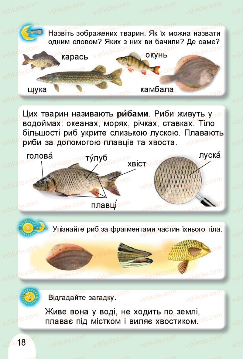 Страница 18 | Підручник Я досліджую світ 1 клас Т.Г. Гільберг, О.В. Гнатюк, Н.М. Павич 2018 2 частина